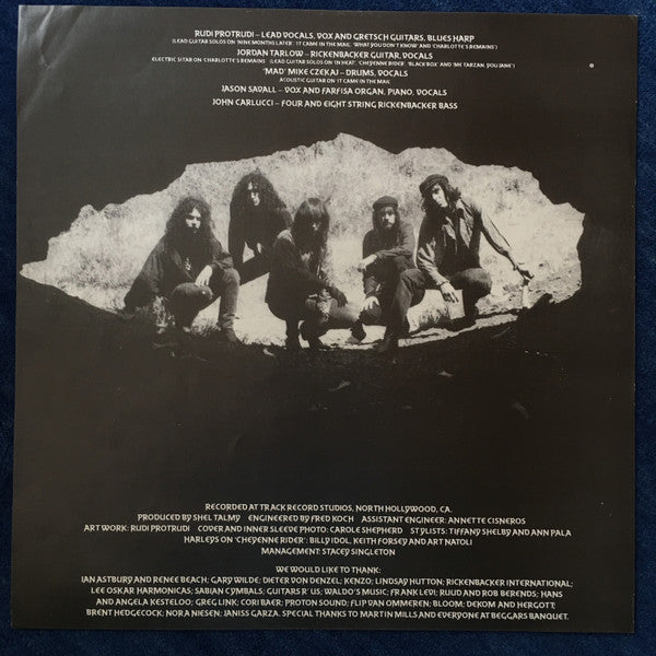 The Fuzztones : In Heat (LP, Album)