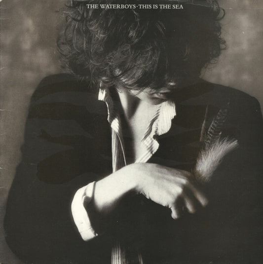 The Waterboys : This Is The Sea (LP, Album, RE)