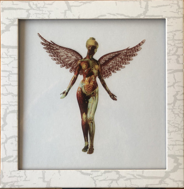 Nirvana : In Utero (Box, Dlx, 30t + LP, Album, RM + 7xLP)