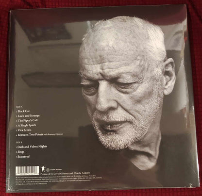 David Gilmour : Luck And Strange (LP, Album, Sea)