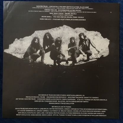 The Fuzztones : In Heat (LP, Album)