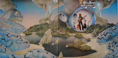 Steve Howe : Beginnings (LP, Album)